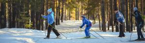 Two people nordic skiing through the woods on a sunny day in the Mad River Valley Vermont